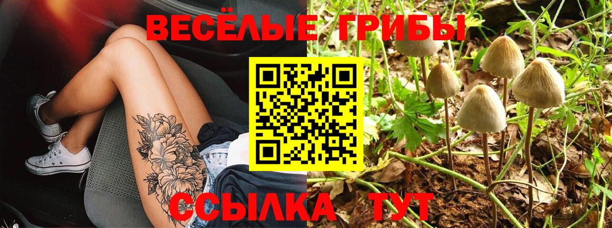 Сухой Лог  Галлюциногенные грибы Psilocybine cubensis  Вход с VPN 